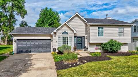 1437 Vintage Drive, Joliet, IL 60431