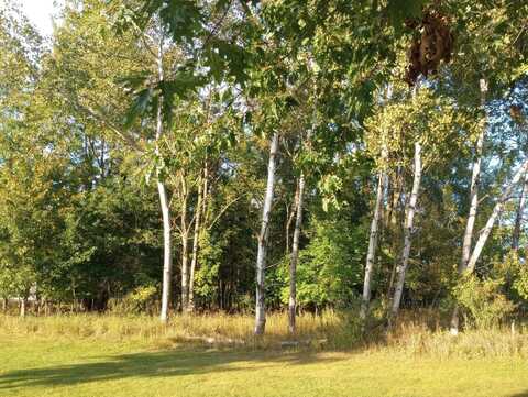 Lot 225 Linksview, Gladwin, MI 48624
