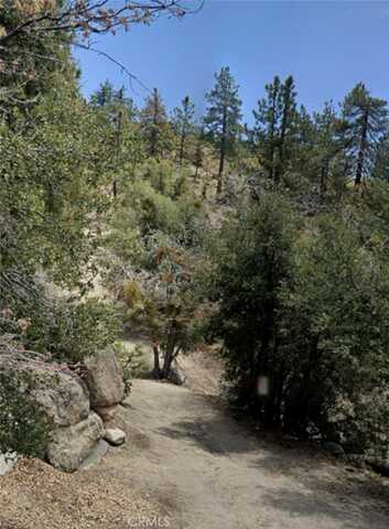 0 Tank Rd, Running Springs, CA 92382