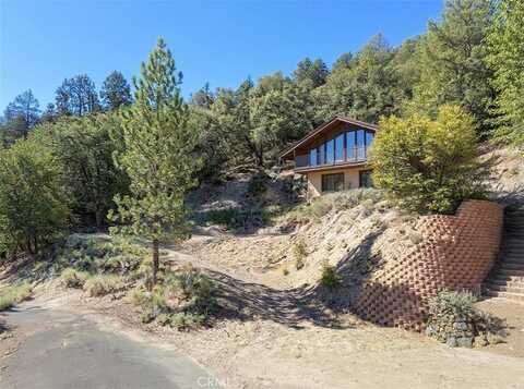 15604 San Moritz Drive, Pine Mountain Club, CA 93222