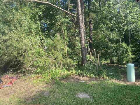 115 Beacon Point Road, Irmo, SC 29063
