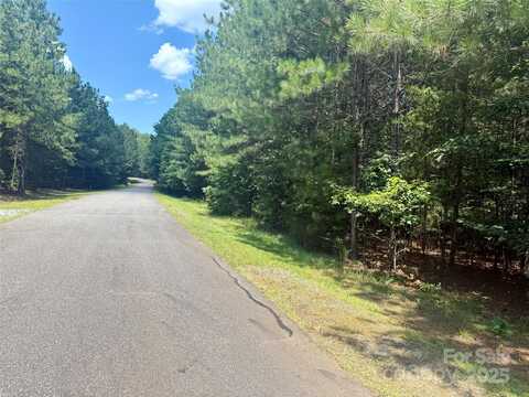 Cross Creek Drive lot: 262, Rutherfordton, NC 28139
