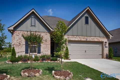 8818 Old Middlestown Road SE, Gurley, AL 35748