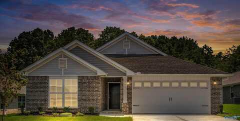 101 Lilac Lane, Meridianville, AL 35759