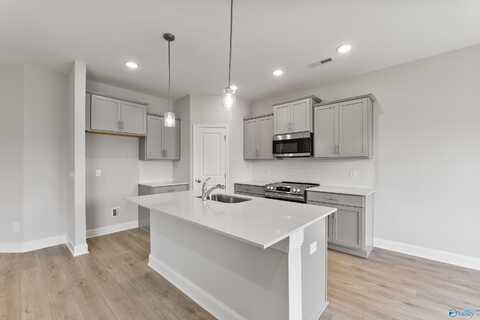206 Pine Island Avenue, Toney, AL 35773