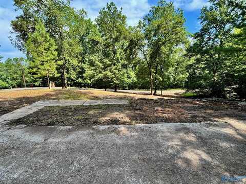 1.47 Acres Sibert Drive, Glencoe, AL 35905