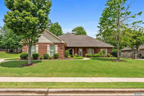 102 Maplebrook Drive, Madison, AL 35756