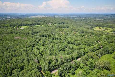 5 Acres Part B Willow Bend Road, Decatur, AL 35603