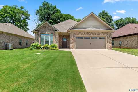 29039 Stonehenge Drive, Toney, AL 35773