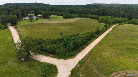 17 County Road 865, Collinsville, AL 35961