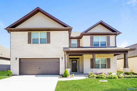 117 Holly Fern Drive, Harvest, AL 35749