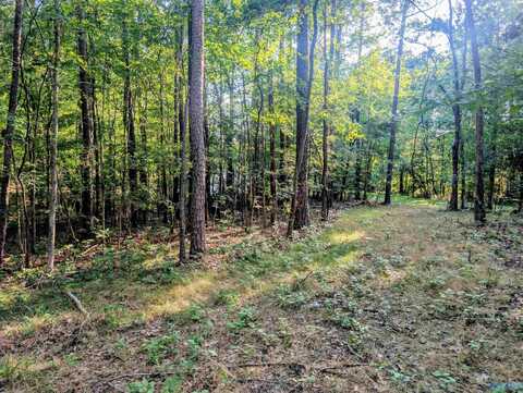 Lot 37 County Road 683, Cedar Bluff, AL 35959
