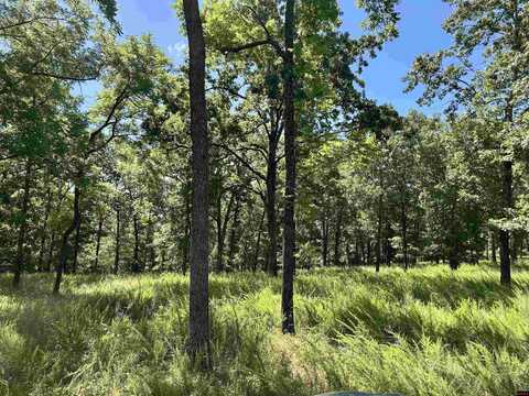 001-06802-000 MC 8010, Yellville, AR 72687
