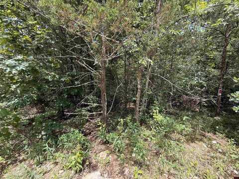 002-08487-033 MILLER DRIVE, Henderson, AR 72544