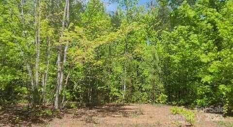 3601 Big Level Road, Mill Spring, NC 28756