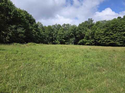 TBD Hazelwood Drive, Bruceton Mills, WV 26525