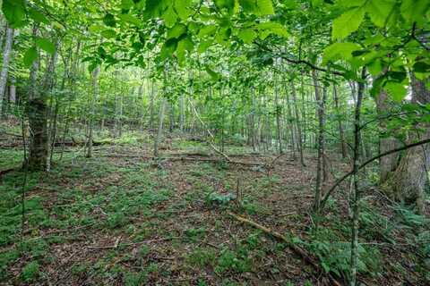 Lot 56 Bryant Cove S/D, Blairsville, GA 30512