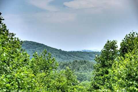 200 Dancing Leaves Trail, Blue Ridge, GA 30513
