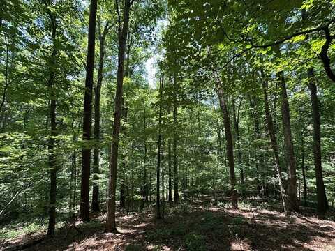 Lot 1884 Finale Street, Ellijay, GA 30175