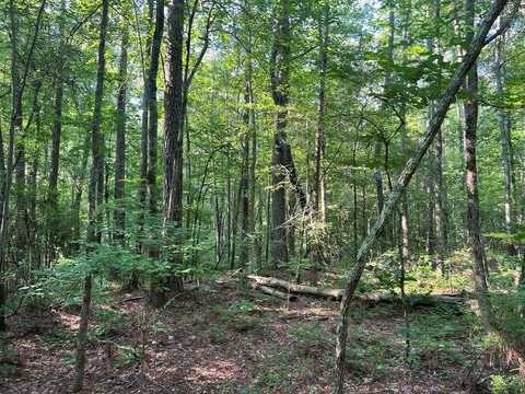 Mac Garner Road, Temple, GA 30179