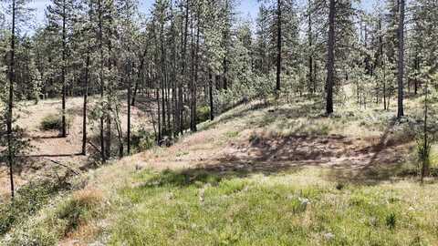 NKA LOWER WEAVER WAY LOT C, DEER PARK, WA 99006