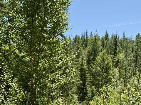 TBD PERELANDRA CIR, DANVILLE, WA 99121