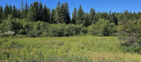 5XXX OLINGER RD, SPRINGDALE, WA 99173