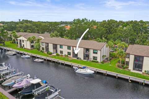 358 Moorings Cove Drive, Tarpon Springs, FL 34689