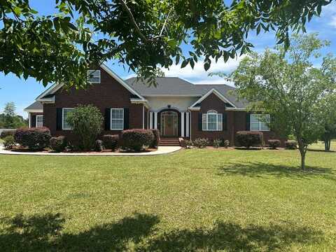 699 twin lakes drive, Douglas, GA 31519