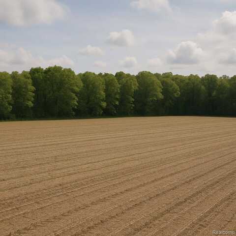 0000 Long Lake Road, CamdenTownship_Hillsdale, MI 49274