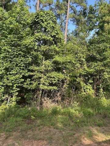 TBD CR 1060, Center, TX 75935