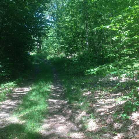 72-1 Frohock Brook Road, Alton, NH 03810