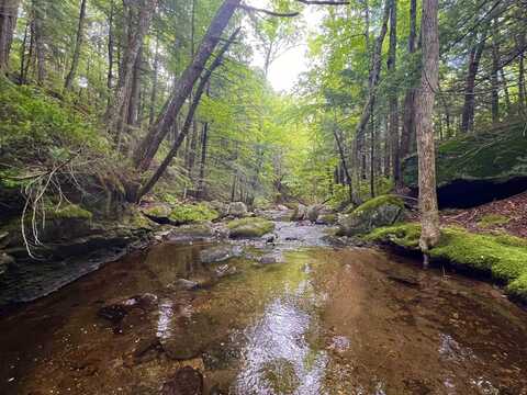 567 & Lot 13-98 Wild Meadow Road, Grafton, NH 03240
