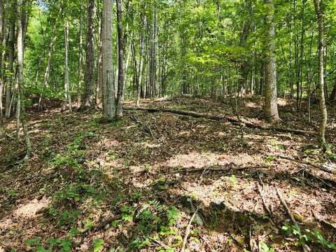 Allison Watts Rd, Franklin, NC 28734