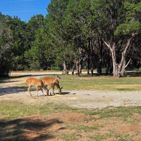 1940 Roadrunner Road, Leakey, TX 76449