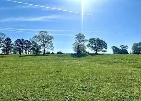 Lot 4 Hunts Gin Rd, Calhoun, GA 30701