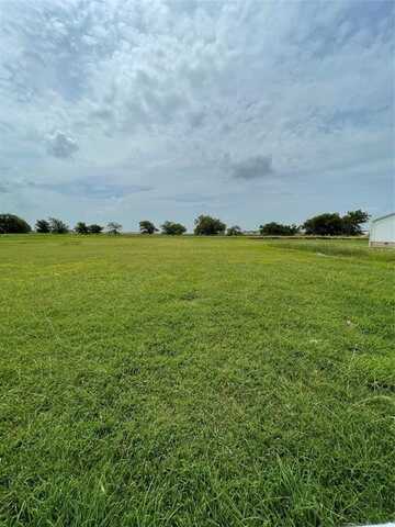 Tbd Chad Avenue, Whitney, TX 76692