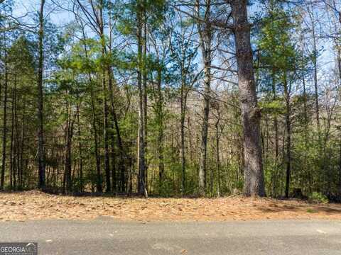 Lot 164 Shenendoa, Ellijay, GA 30540
