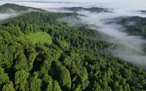0 Upper Raccoon Creek RD, London, KY 40741