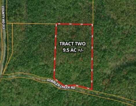 Tract 2 - Gobbler Creek Road, Wedowee, AL 36278