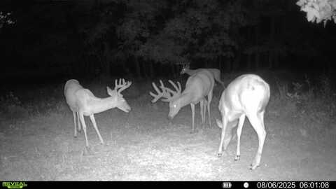 0 Yearling Road, Red Rock, OK 74651
