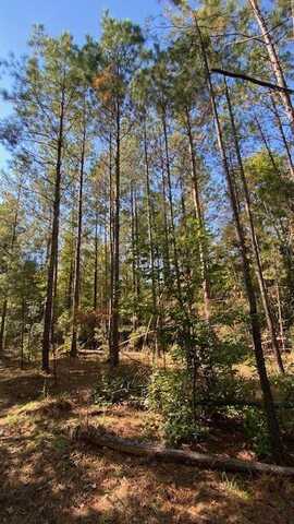 0 Sailor Rd., Creola, AL 36525