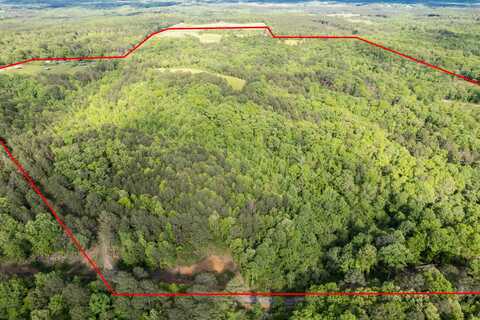 4203 County Road 25, Double Springs, AL 35553