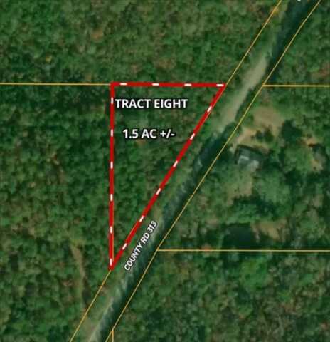 Tract 8 - County Road 313, Wedowee, AL 36278