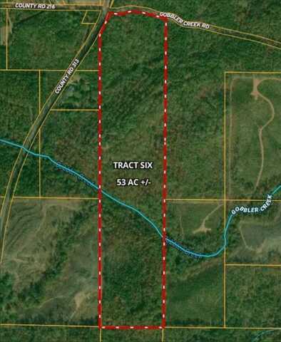 Tract 6 - County Road 313, Wedowee, AL 36278