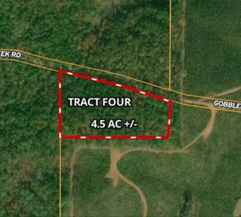 Tract 4 - Gobbler Creek Rd, Wedowee, AL 36278