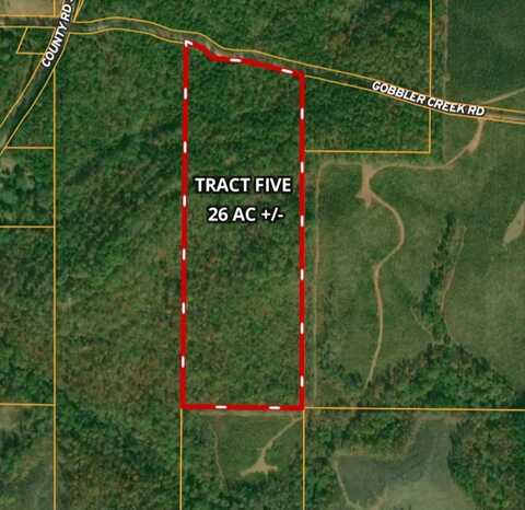 Tract 5 - Gobbler Creek Road, Wedowee, AL 36278