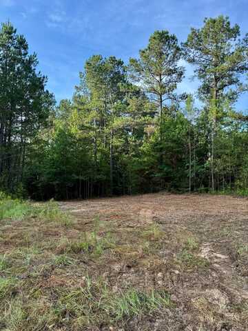 4850 Highway 395, Noxapater, MS 39346