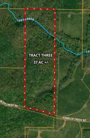Tract 3 - Gobbler Creek Rd, Wedowee, AL 36278