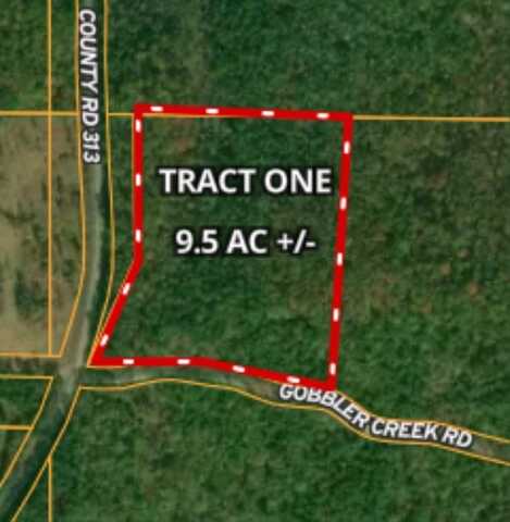 Tract 1 - Gobbler Creek Road, Wedowee, AL 36278